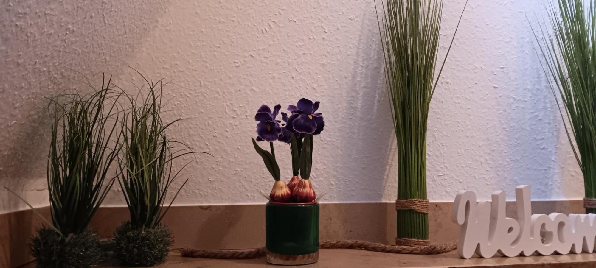 Monteur Gaeste Stadt Hafen Homestay