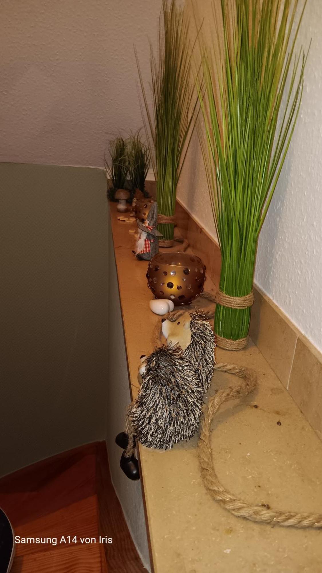 Homestay Monteur Gaeste Stadt Hafen Husum (Schleswig-Holstein)